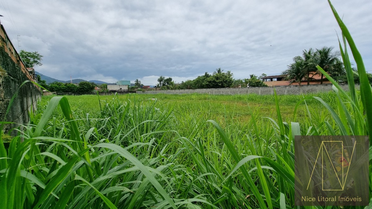 Terreno à venda, 29000m² - Foto 2