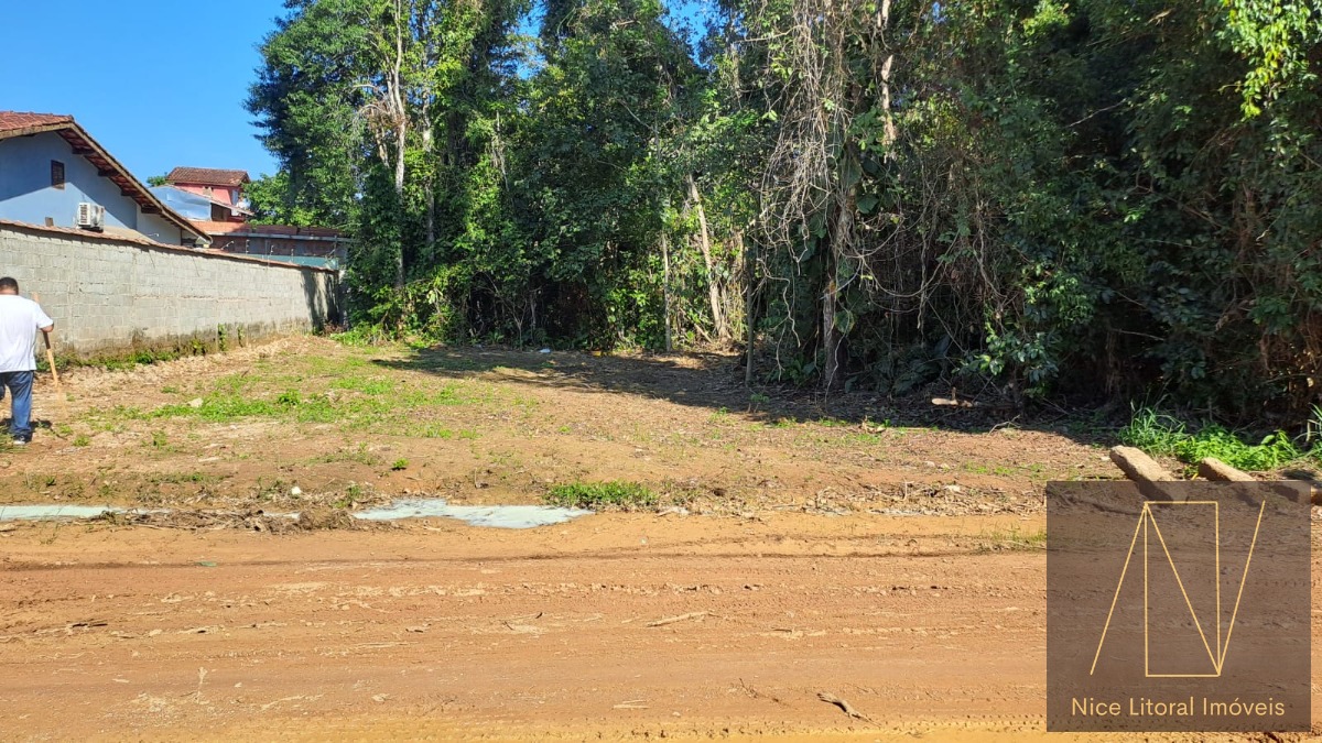 Terreno à venda, 250m² - Foto 3