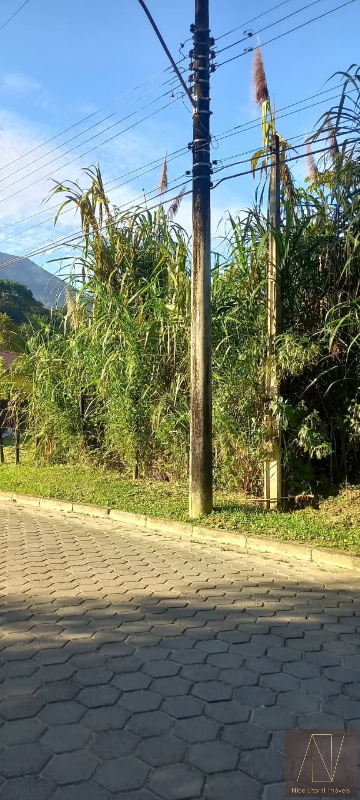 Terreno à venda, 330m² - Foto 6